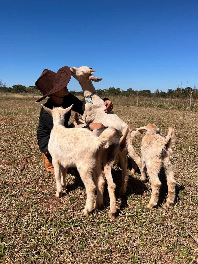 Criança perto dos cabritinhos